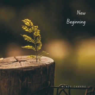 New Beginning