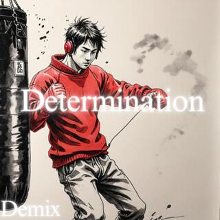 Determination