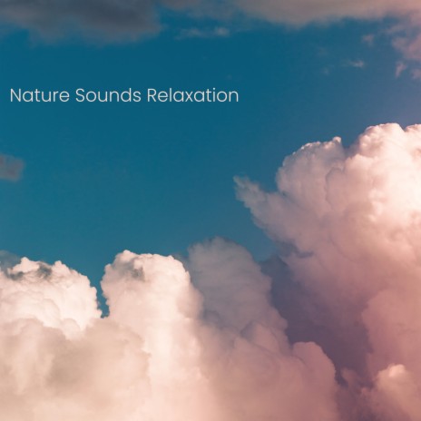 Chanting Birds ft. Calming Rainforest Sounds & Sonido Del Bosque y Naturaleza | Boomplay Music