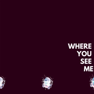 WHERE YOU SEE ME