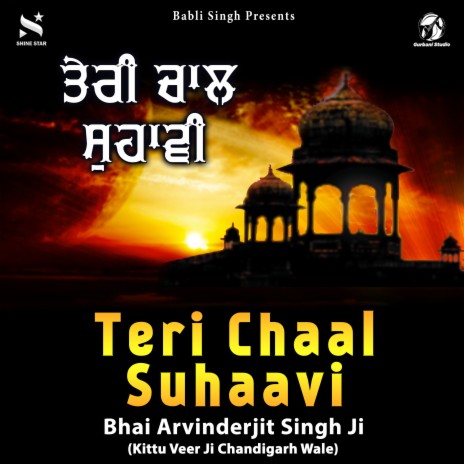 Teri Chaal Suhaavi