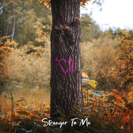 Stranger To Me | Boomplay Music