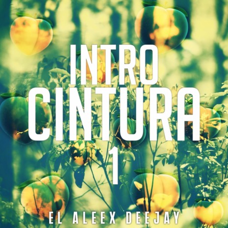 Intro Cintura | Boomplay Music