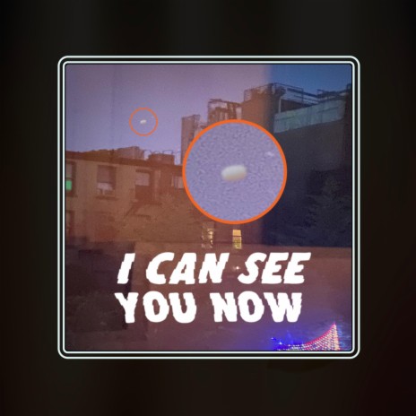 I Can See You Now (feat. Big Red Roses) | Boomplay Music