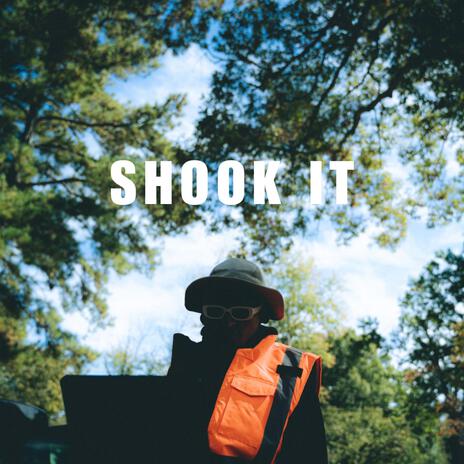 Shook It | Boomplay Music