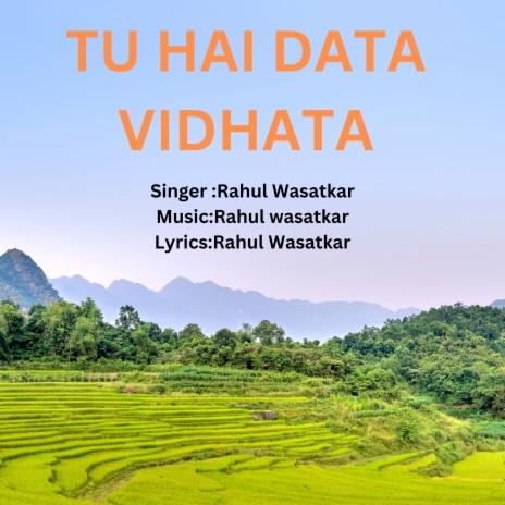 Tu Hai Data Vidhata | Boomplay Music