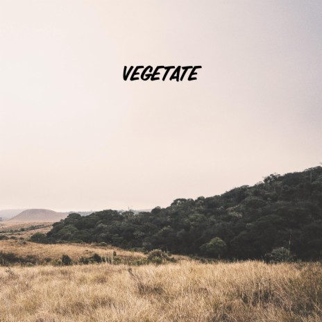 Vegetate | Boomplay Music
