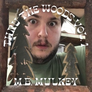 thru the woods vol. 1