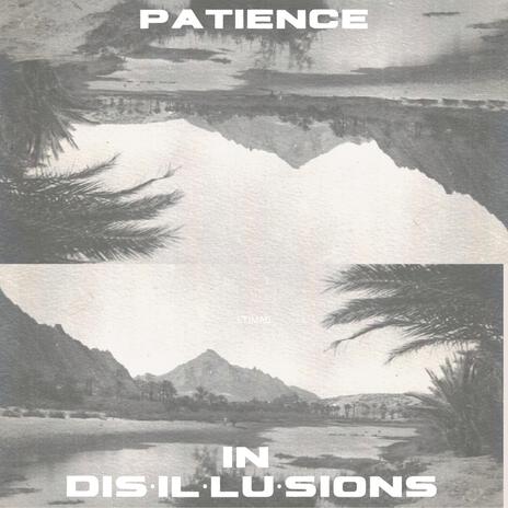 patience in disillusions | Boomplay Music