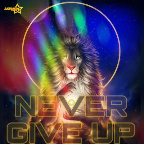 WE NEVER GIVE UP | Boomplay Music