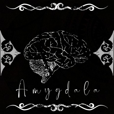 Amygdala | Boomplay Music