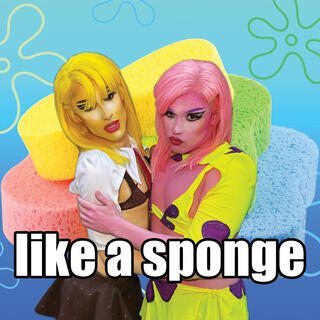 like a sponge