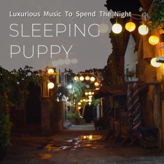 Luxurious Music to Spend the Night