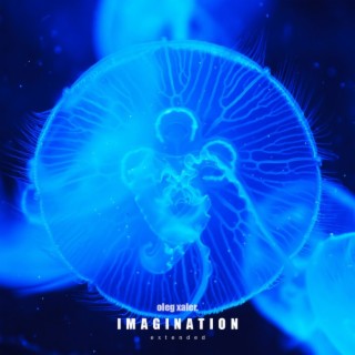 Imagination (extended)
