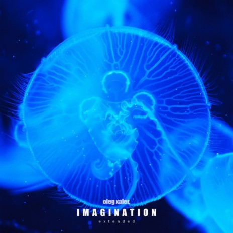 Imagination (Extended)