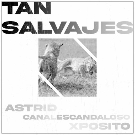 Tan Salvajes ft. Escandaloso Xpósito
