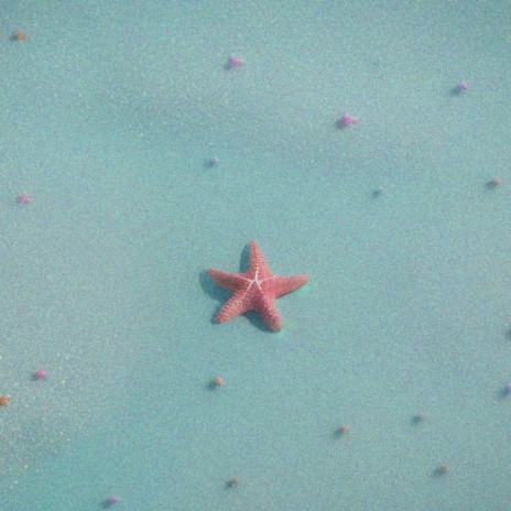 Starfish | Boomplay Music