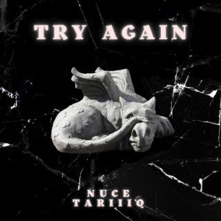 Try Again ft. Tariiiq lyrics | Boomplay Music