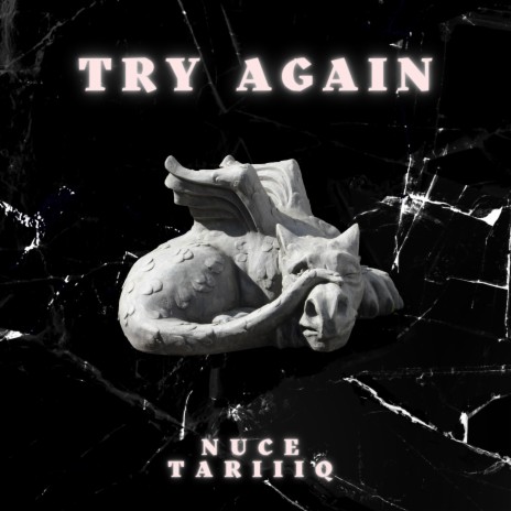 Try Again ft. Tariiiq | Boomplay Music