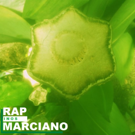 Rap marciano