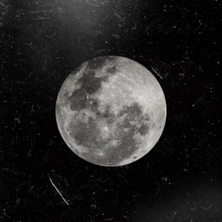 Wolves At Night ft. Young Palmtrees lyrics | Boomplay Music