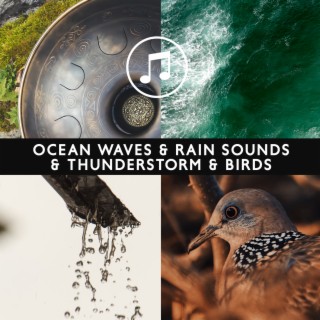 Ocean Waves & Rain Sounds & Thunderstorm & Birds & Forest & Stream (Morning Nature Ringtones)