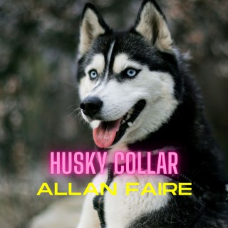 Husky Collar