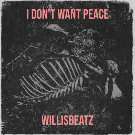 I Don't Want Peace | Boomplay Music