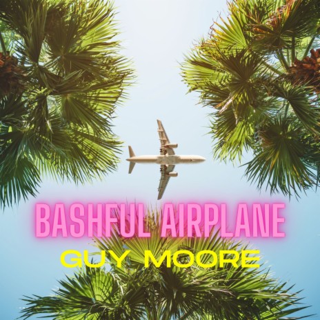 Bashful Airplane | Boomplay Music