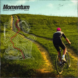 Momentum