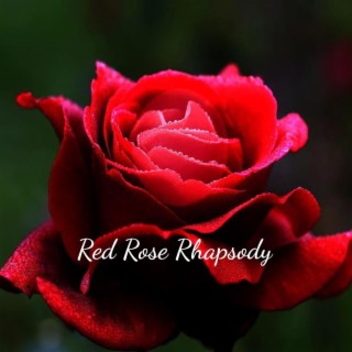 Red Rose Rhapsody