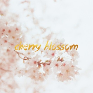 Cherry Blossom