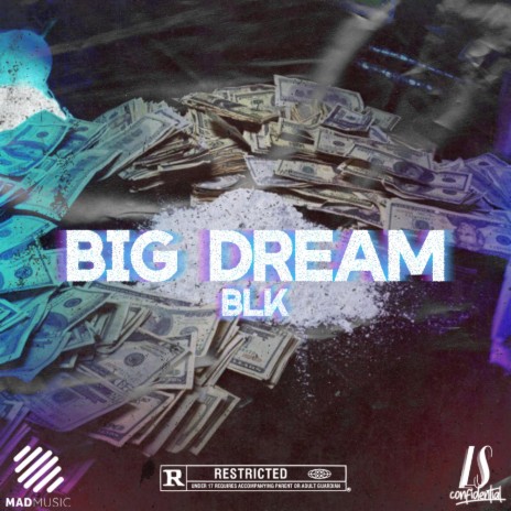 BIG DREAM (feat. HABIB) | Boomplay Music