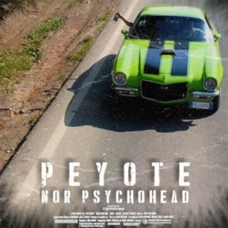 Peyote