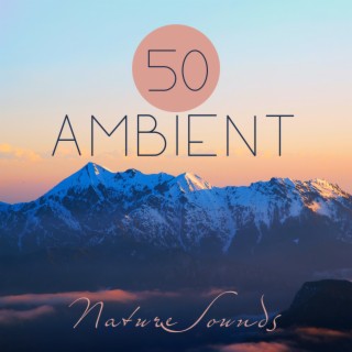 50 Ambient Nature Sounds: Best Relaxing Spa Music, Hypnotic Ocean Waves for Meditation, Calm Sounds of Rain for Sleep, Healing New Age and Singing Birds to Reduce Stress