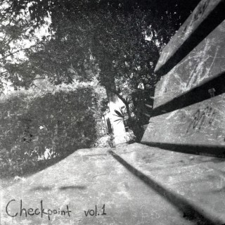 Checkpoint, Vol. 1