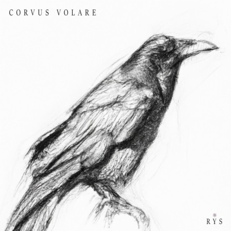 Corvus Volare | Boomplay Music