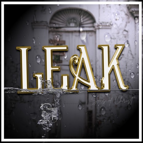 Leak | Boomplay Music