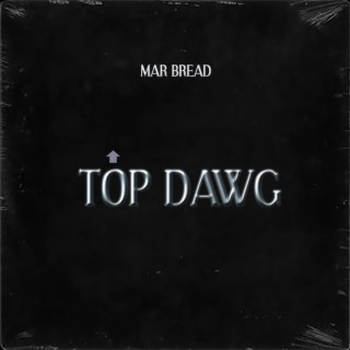 TOP DAWG (ONE MIC FREESTYLE)