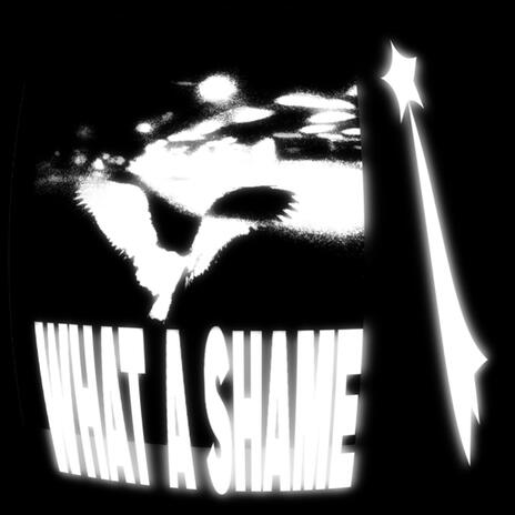 what a shame | Boomplay Music