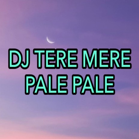 DJ Tere Mere - Pale Pale | Boomplay Music