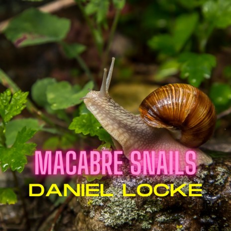 Macabre Snails | Boomplay Music