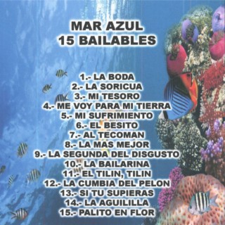 15 Bailables