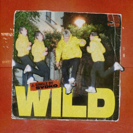 Wild | Boomplay Music