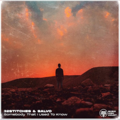 Somebody That I Used To Know ft. Salvo | Boomplay Music