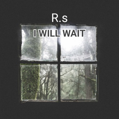 I Will Wait | Boomplay Music