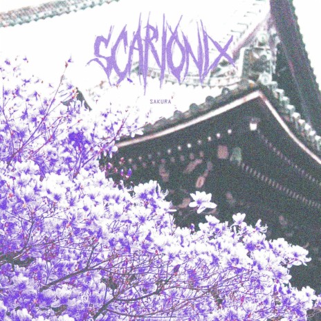 Sakura | Boomplay Music