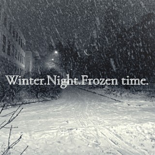 Winter.night.frozen Time.