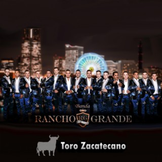 Toro Zacatecano