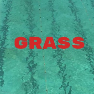 Grass